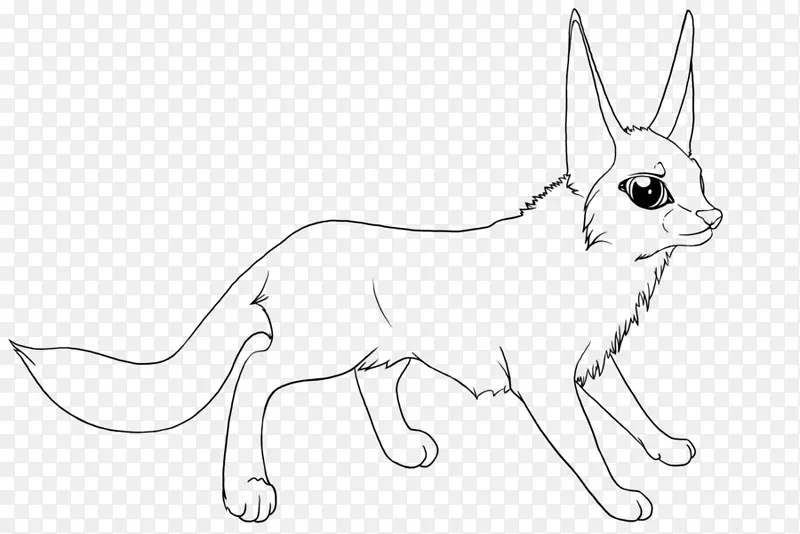 猫红狐家兔狗