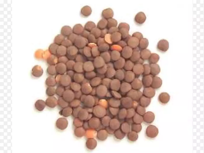 营养保健营养食品饮食-红豆
