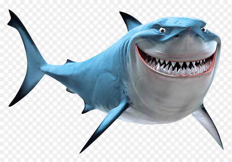 马林布鲁斯大白鲨剪贴画