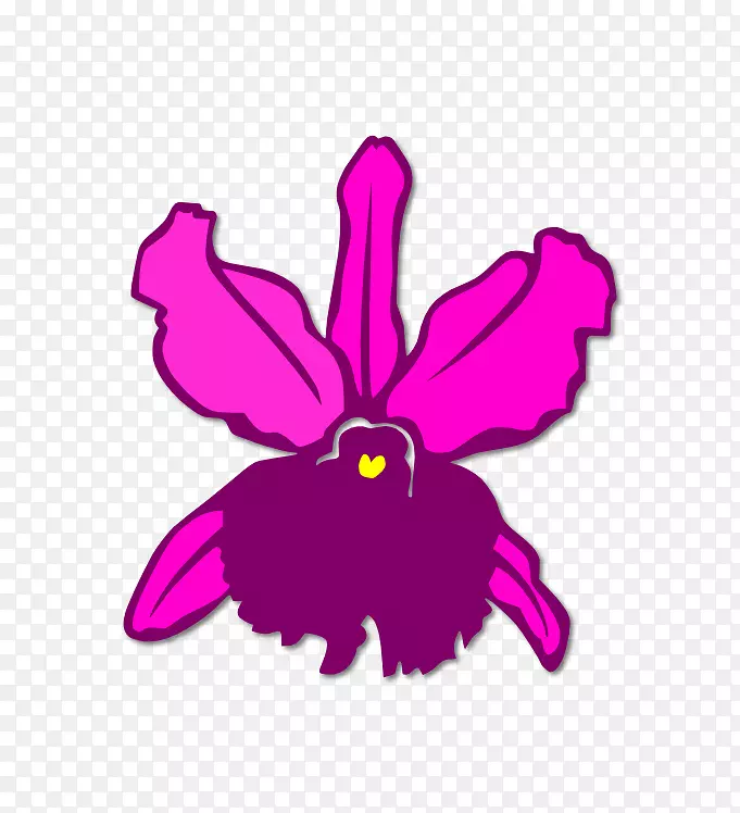 开花植物紫红色紫丁香兰花