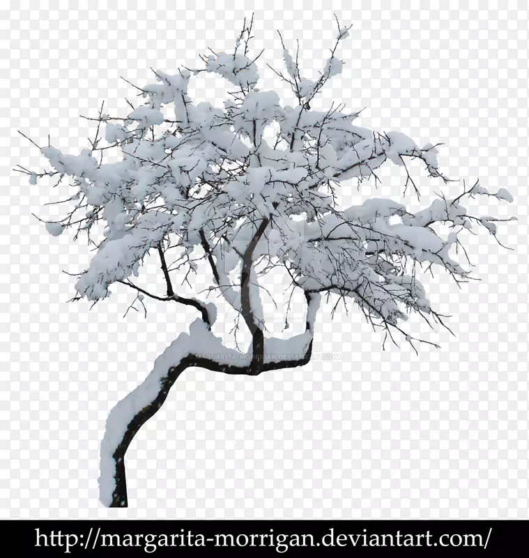 冬季树枝剪贴画-雪树
