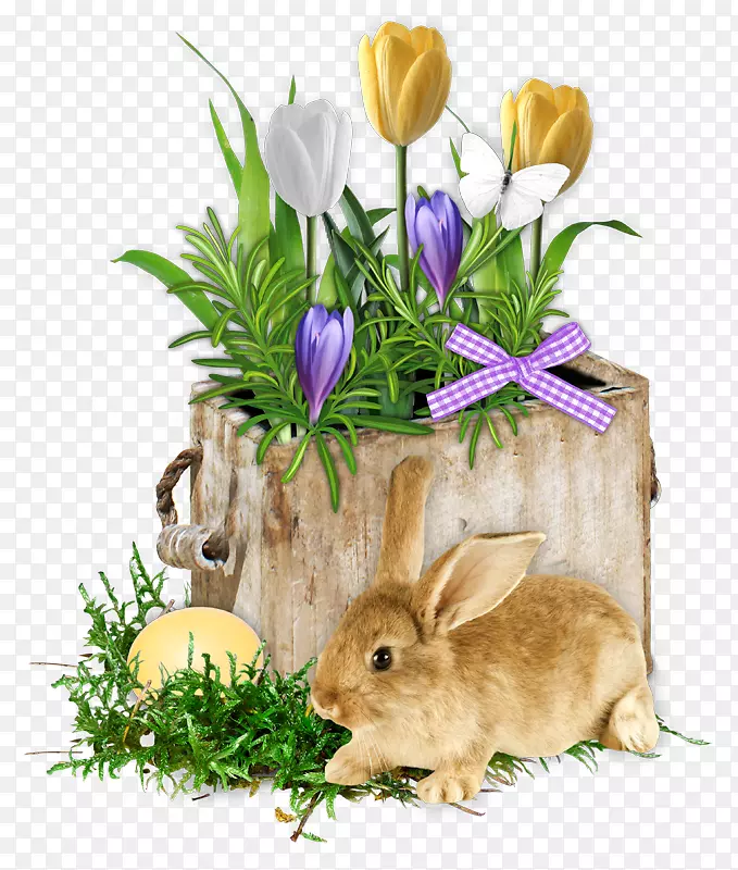 复活节兔子威尼斯复活节彩蛋圣诞节