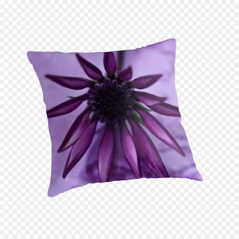 紫罗兰垫枕，紫丁香