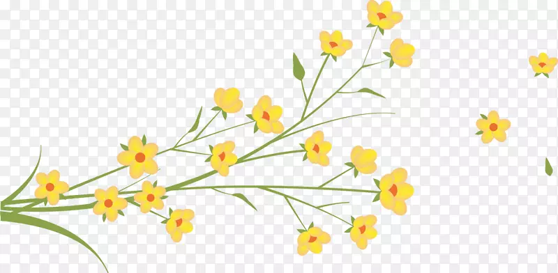 花卉数字图像黄花黄