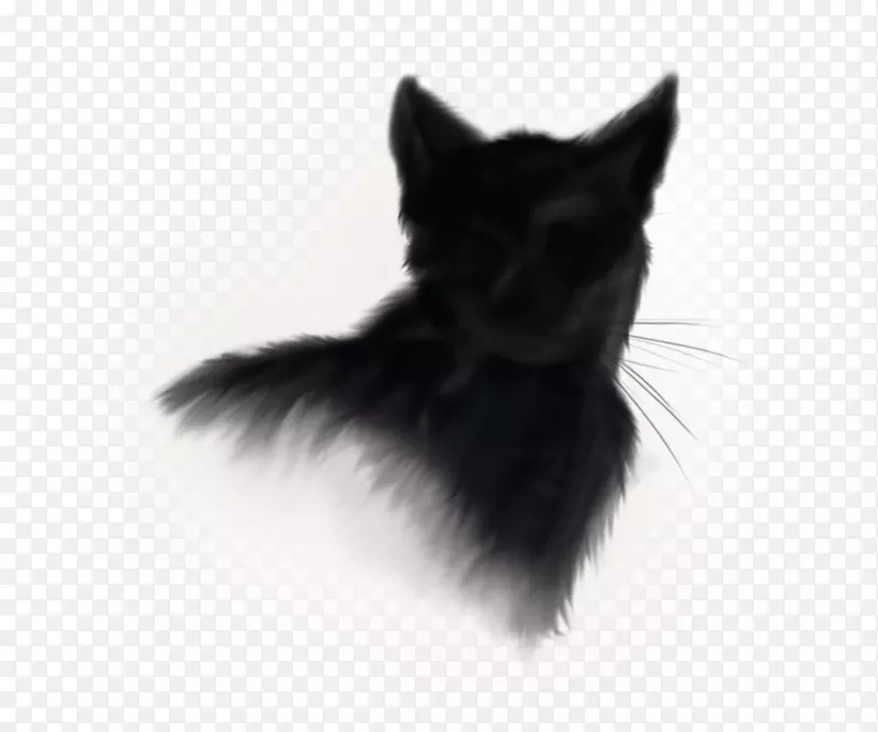 挪威森林猫黑猫标志-黑猫