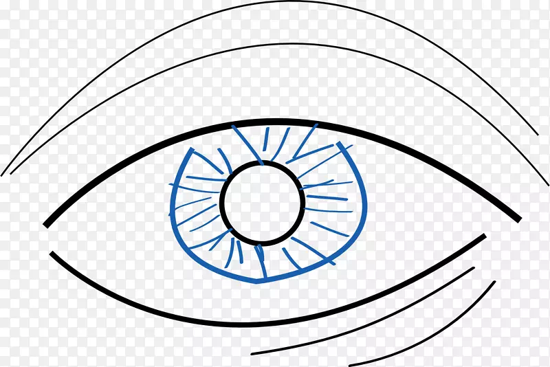 眼夹艺术-眼睛护理