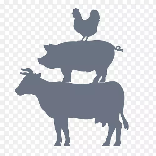 牛、猪、畜牧、农业-农场动物
