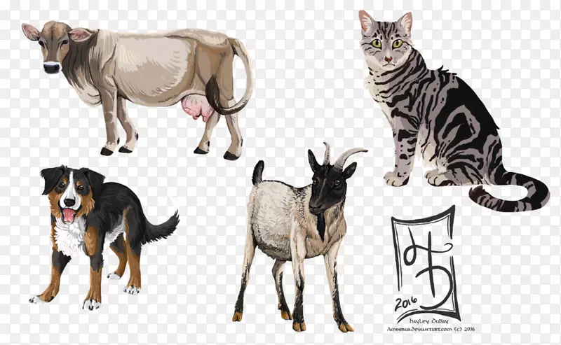 猫狗宠物农场-农场动物