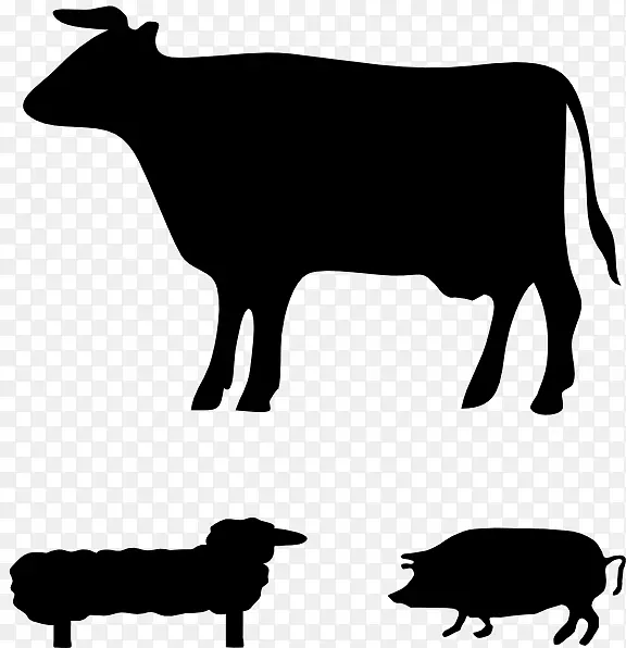安格斯牛、泽西牛、威尔士牛、格恩西牛、荷斯坦牛、弗里西亚牛-农场动物
