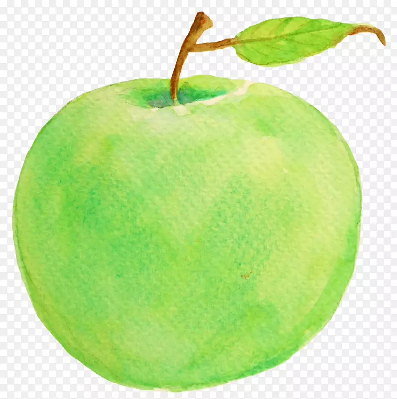 苹果绿色苹果不同。。。同样重要的是：孤独症、阿斯伯格氏症和多动症项目的成就和成功就业的鼓舞人心的故事-绿色苹果