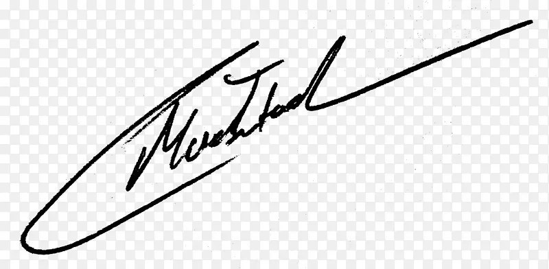 线条艺术书法字体-签名