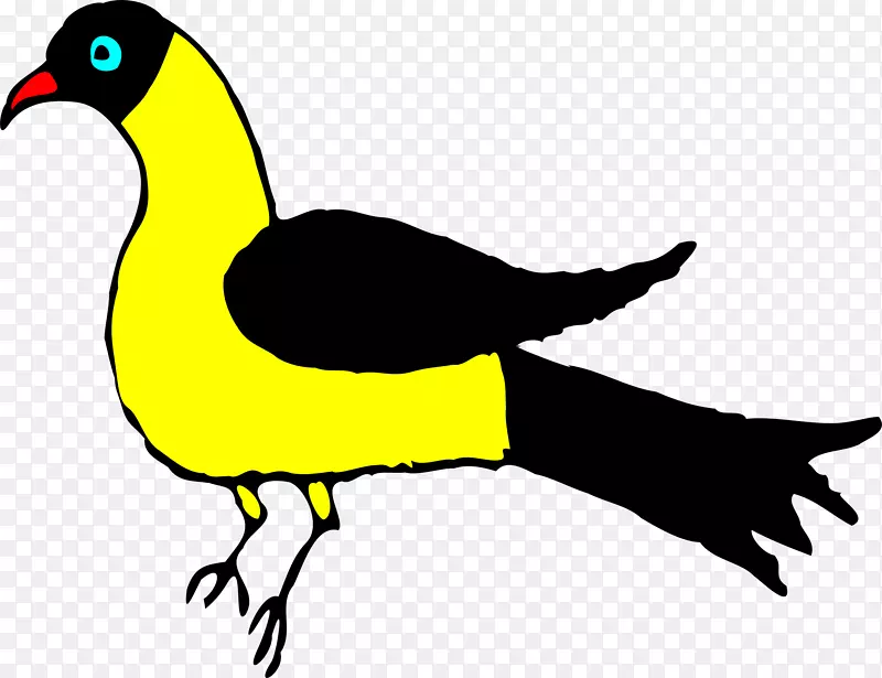 水鸟鸭夹艺术-火鸡鸟
