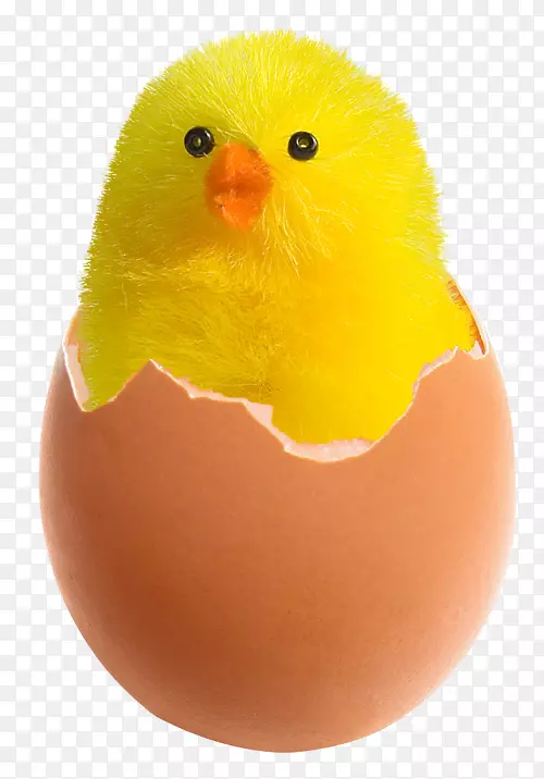 鸡煎蛋