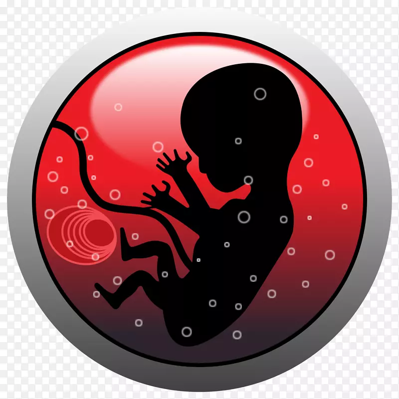 胚胎胎儿流产剪贴术-人