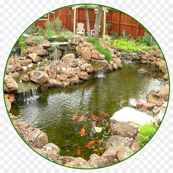 锦鲤水体、鱼塘花园-锦鲤