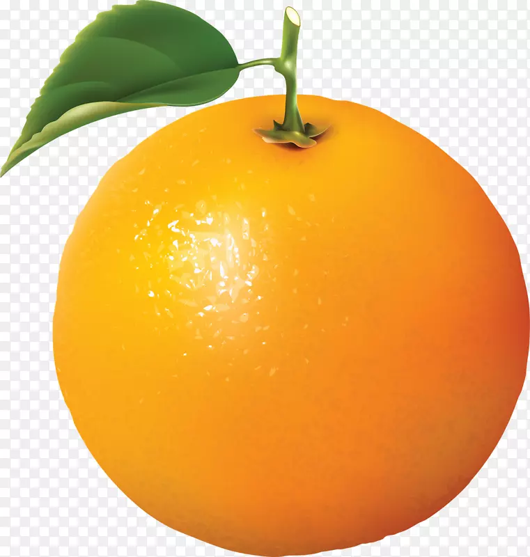 橙色剪贴画-柑橘