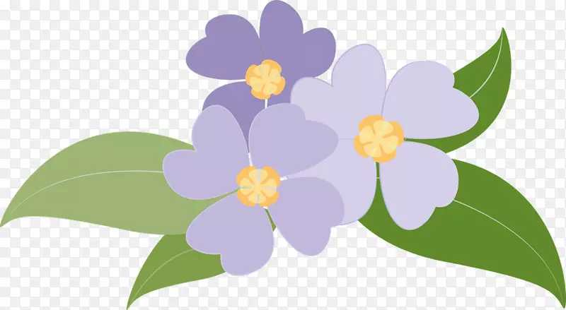 花紫罗兰