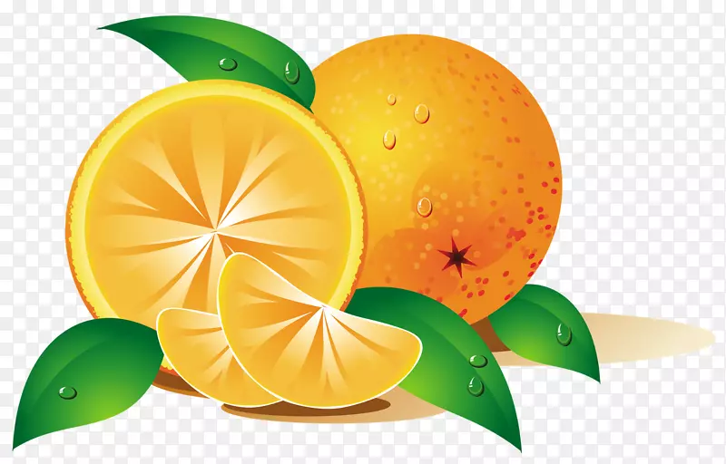 橙色水果剪贴画-热带水果