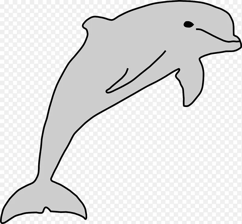 海豚下载剪辑艺术-海洋生物