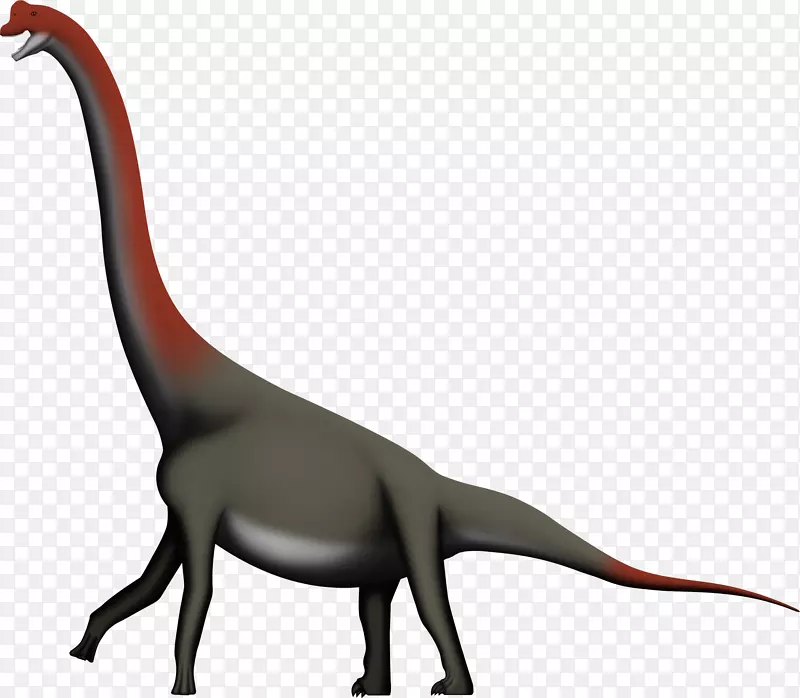 黄斑龙，阿瓦拉慈龙III组，龙-恐龙
