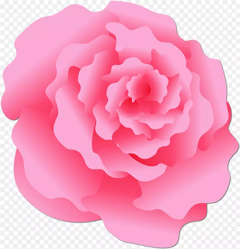 金银花玫瑰花园玫瑰蔷薇科摄影-粉红色玫瑰