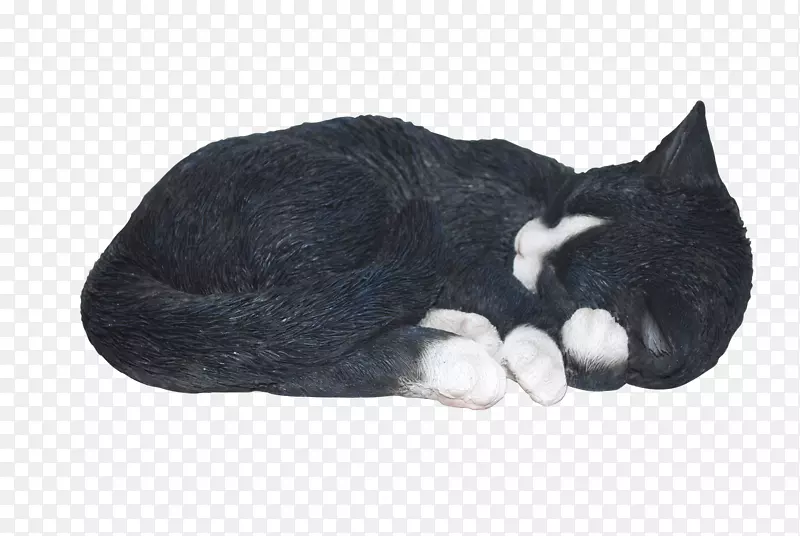 猫装饰艺术-睡觉