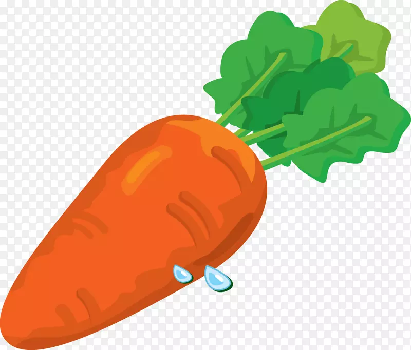 胡萝卜蔬菜桌面壁纸夹艺术胡萝卜