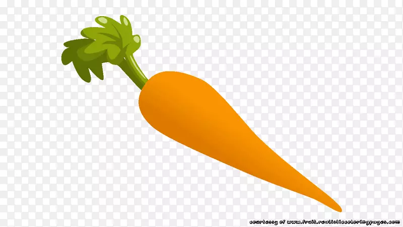 蔬菜食品水果胡萝卜