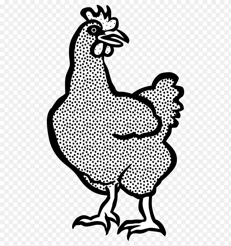鸡画线艺术剪贴画-母鸡