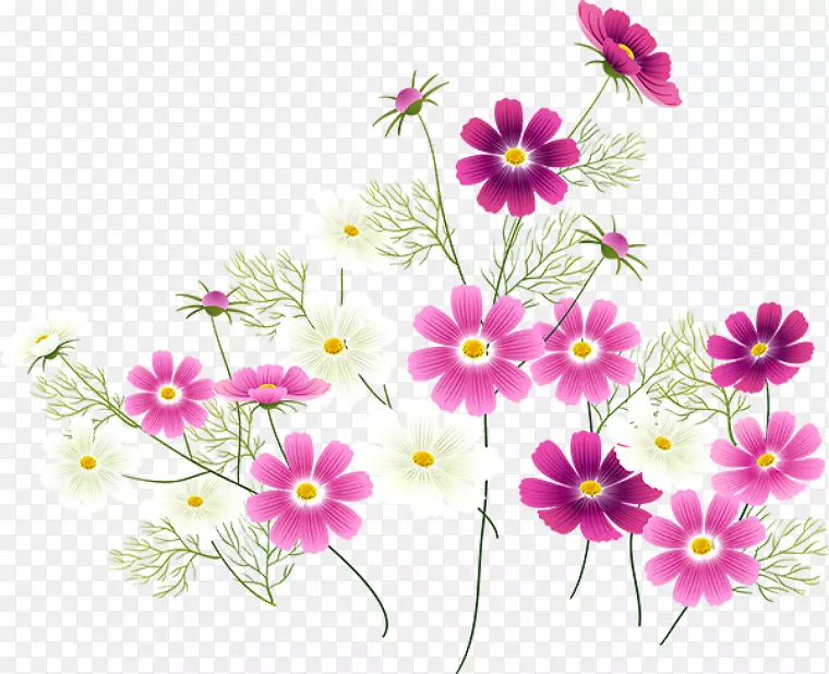 花卉计算机软件-粉彩花卉