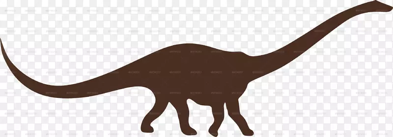 猫陆生动物野生动物尾巴生物-恐龙