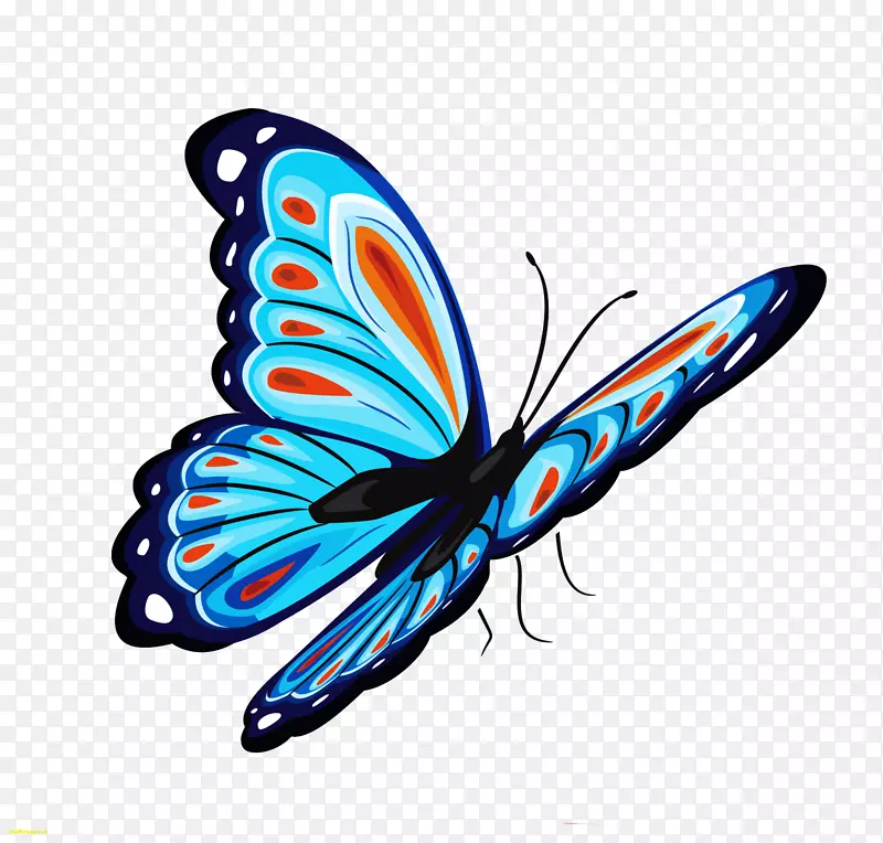 蝴蝶桌面壁纸电脑图标夹艺术-蓝色蝴蝶