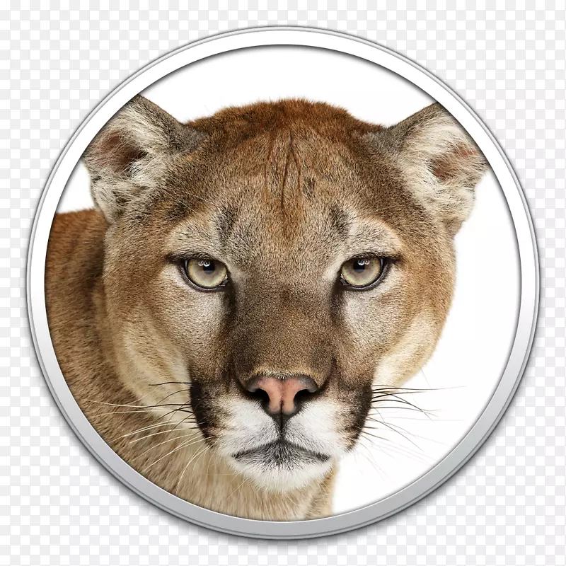 美洲狮mac os x狮子苹果-美洲狮