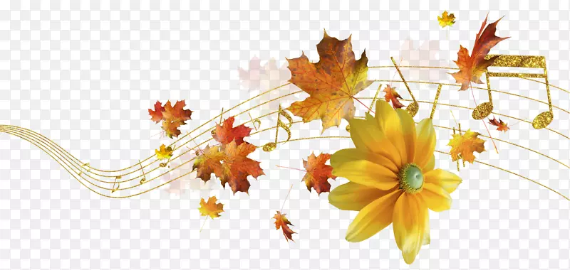 花卉设计静物摄影剪贴画-秋季