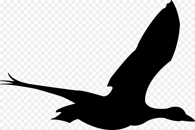 鸟类飞行鹅夹艺术-动物轮廓