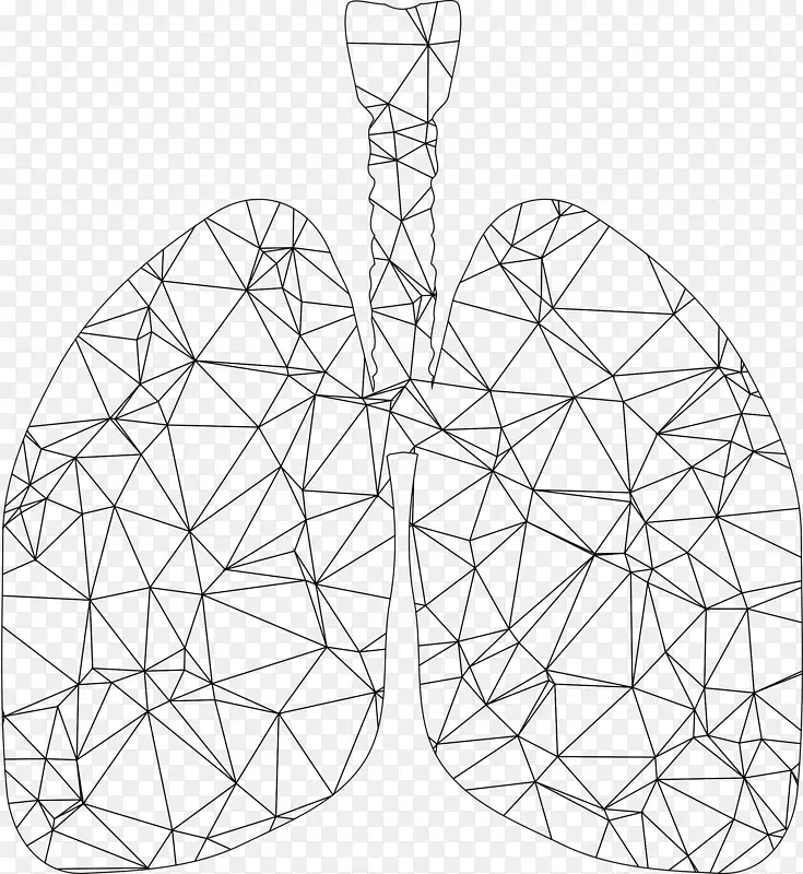 肺三角多边形-肺