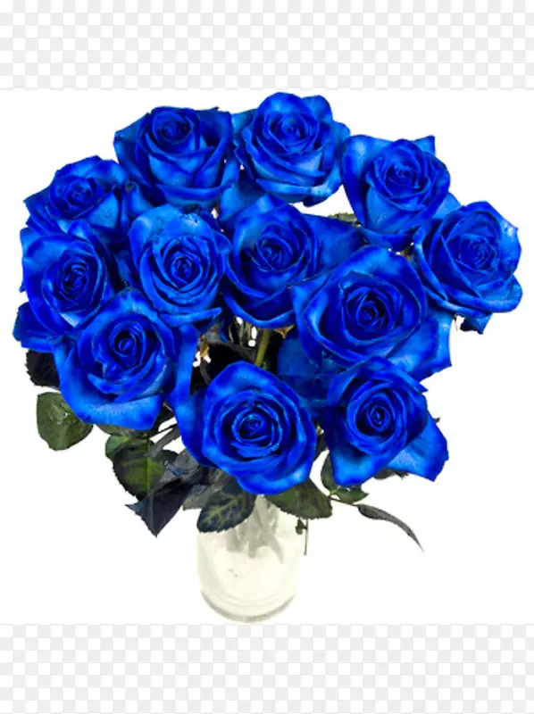 蓝色玫瑰切花-蓝色玫瑰
