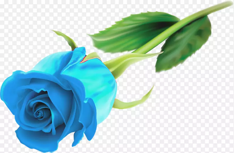 玫瑰花桌面壁纸-蓝色玫瑰