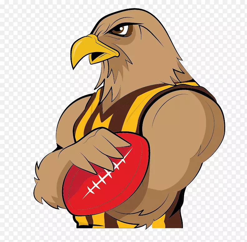2017年AFL赛季山楂足球俱乐部西海岸老鹰澳大利亚足球联赛季前赛金海岸足球俱乐部-鹰队