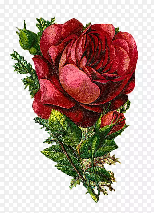 玫瑰剪贴画-复古花
