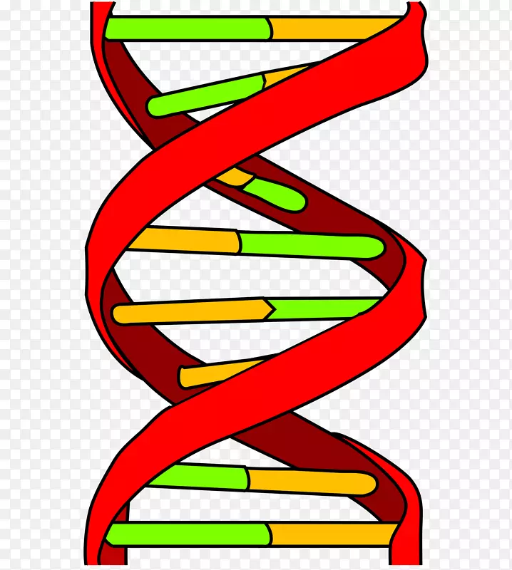 dna遗传学计算机图标核酸双螺旋遗传测试dna