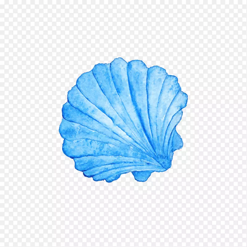 海贝壳水彩画摄影皇室-无海贝壳