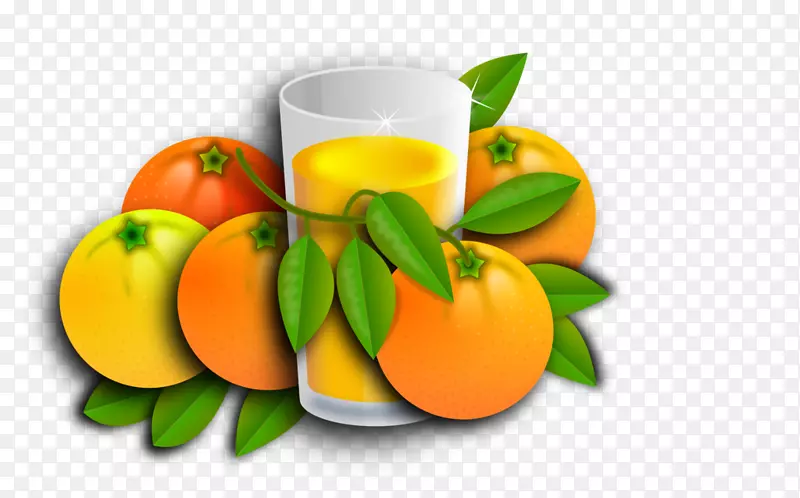 橙汁，橘子，素食料理-橙汁