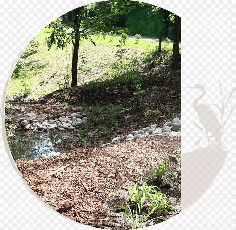 河流恢复土壤植被景观自然保护区-自然环境