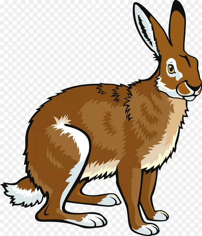 北极野兔欧洲野兔雪鞋兔阿拉斯加野兔剪贴画-兔子
