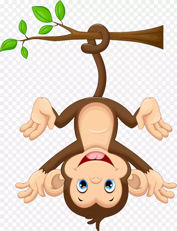 猴子动画剪辑艺术-猴子