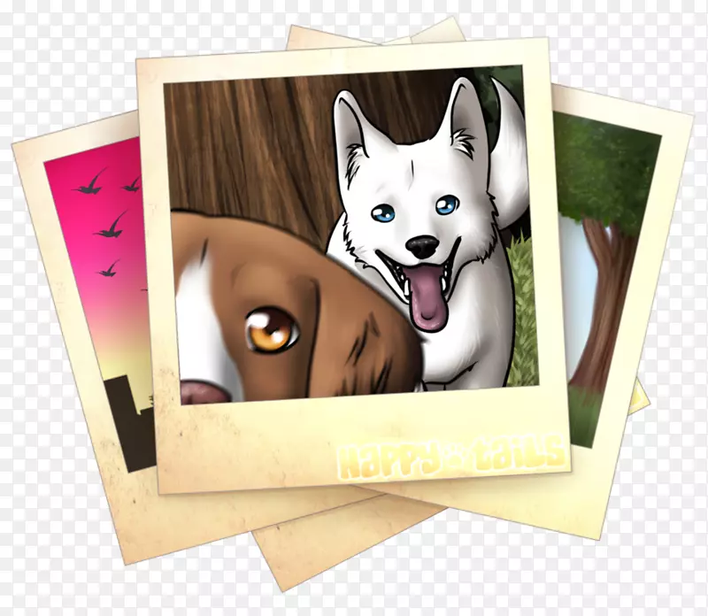 西伯利亚哈士奇小狗犬科宠物狗品种自拍