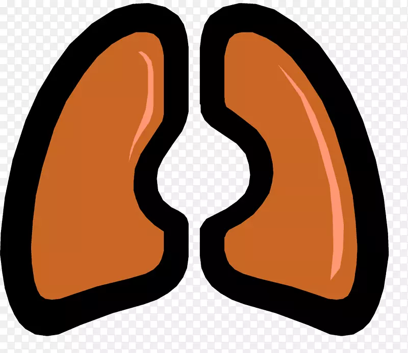 肺特发性肺纤维化呼吸系统疾病慢性阻塞性肺疾病-肺