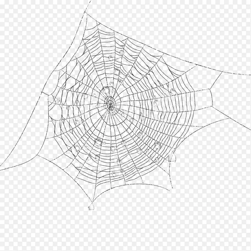 蜘蛛网蜘蛛丝夹艺术.蜘蛛网