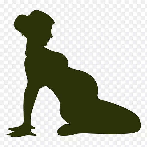 坐着的妇女的轮廓-怀孕